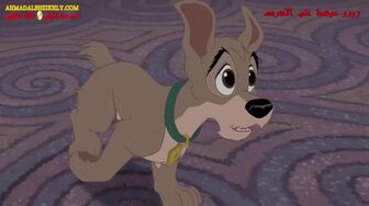 Lady and the Tramp II Scamp's Adventure (2001) Full Arabic Egypt [720p][WEBRip]x264 AAC5 1-[YTS MX] ahmadalsheikhly com